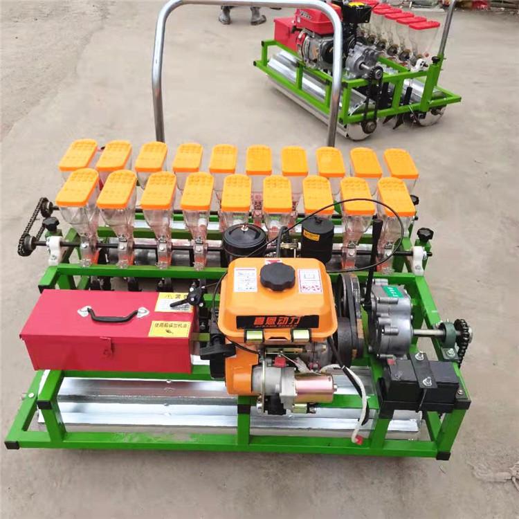Siembra de vegetales autopropulsada de gasolina, plantación de plántulas de materiales medicinales, siembra precisa de apio y cilantro
