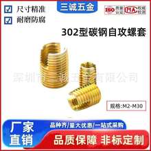 302��S�\���Թ����� �r��M2-M30����������ĸ�ݼy�o���ݽz��