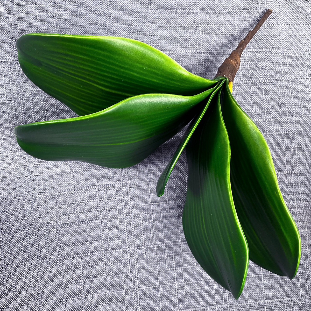 La nueva hoja de Clivia de goma suave de alta gama, plantación verde de simulación, jardinería, jardinería, arreglos florales en macetas, accesorios decorativos, flores