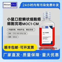 Meisen CTCC美森小鼠口腔鳞状细胞癌细胞完培MOC1-CM实验室课题组