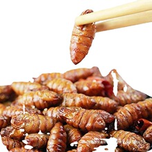 ��ըС�QӼ�QӼ��ʳ������ʳ�¾Ʋ˸ɝ��sӼɽ�|�a���ְ��]����