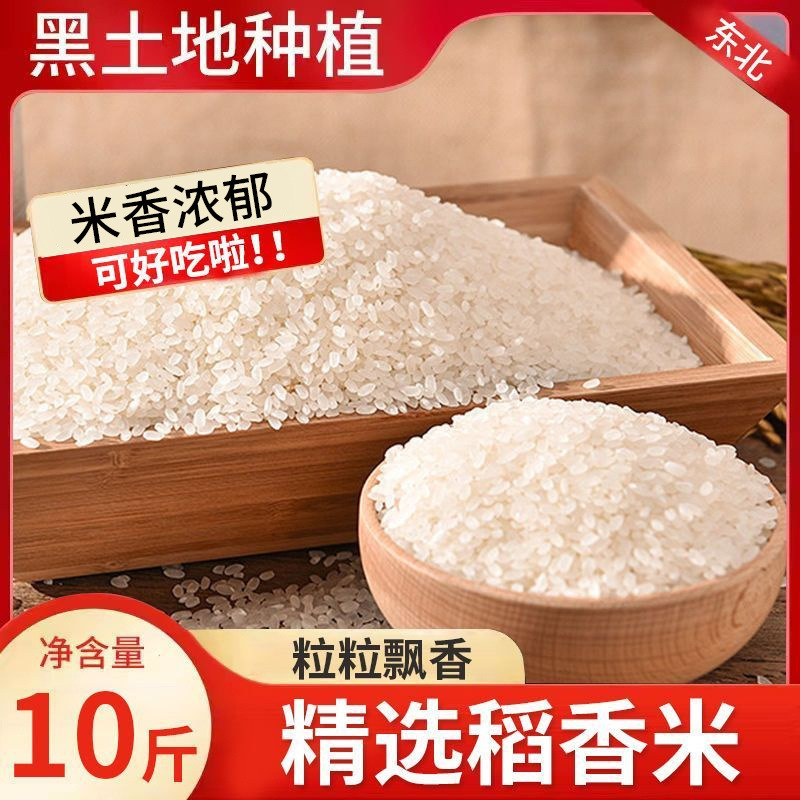 손으로 심은 쌀 5kg