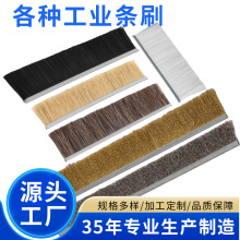 铝合金条刷定制工业防尘毛刷条挡水防尘门底门窗密封毛刷厂家