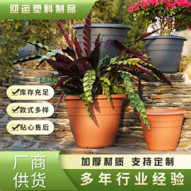 环球花盆艾拉塑料树脂特大圆盆加厚绿植种树花盆阳台种菜盆盆景盆