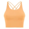 Boston Orange