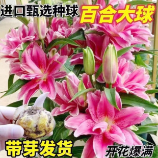 �ͺ���ˮ�ٺϝ������ذ���^���N���Ի��ܺ��B�ļ��_��ˮ���҃�