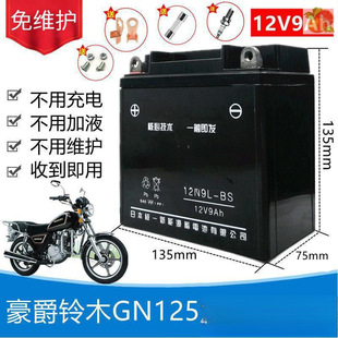 Haojue Suzuki Gn Prince Hj125-8 Men's Motorcycle Maintenance-Free Battery 12V9A Dry Battery