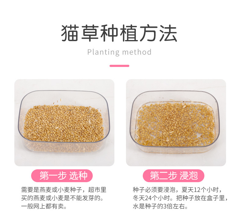 猫碗1_13.jpg