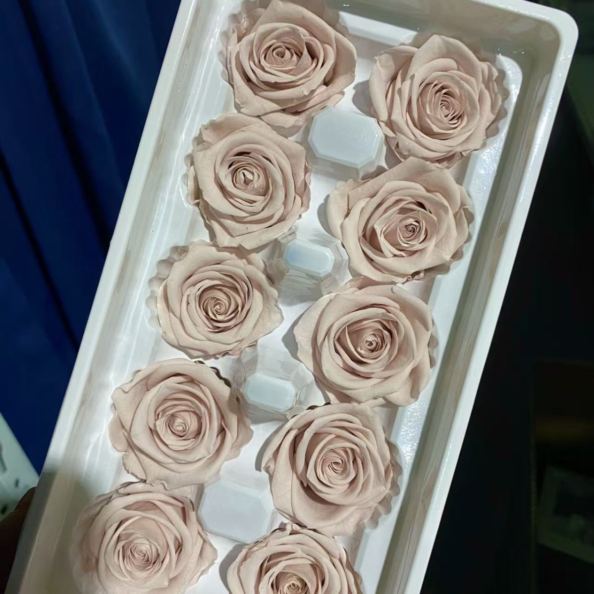 Rosas preservadas de grado A de Yunnan al por mayor, 3-4 cm, juego de 10 piezas, materiales florales para caja de regalo DIY para bodas y San Valentín