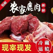 新鲜梅花鹿腿肉去骨冷链包邮现杀梅花鹿腿肉冷冻生鲜鹿肉带皮直销