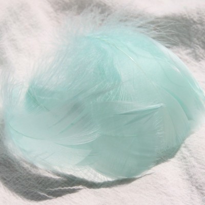 라이트 블루 녹색 (100 루트 배치)