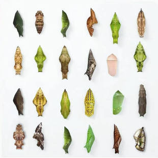 �����Ӽ���w�ɷ�����ͯ�����҃��Bֳ�^�����С���x�����J��