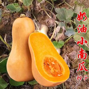 �����ϹϷN�Ӵ����＾�ļ������۱���Ŵ�t���������Ϲ�Ʒ�N��ȫ