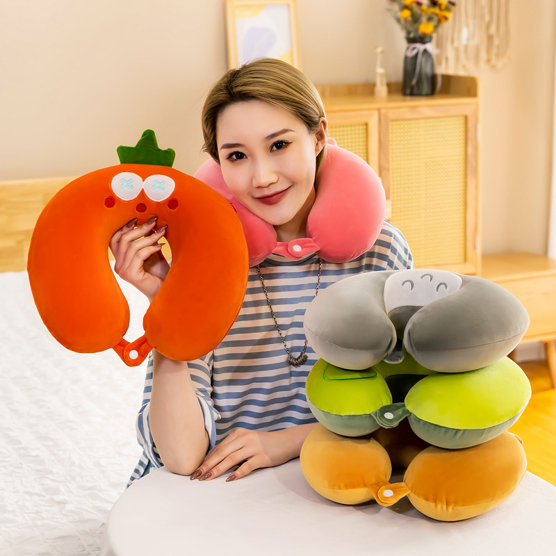 protective airplane for traveling