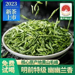黄山毛峰2024新茶明前茶葉500g缶特級緑茶高山春茶工場卸売り代発