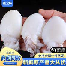 无冰大号冷冻墨鱼仔去皮去脏海捕鲜冻墨鱼仔整箱商用批发包邮