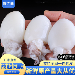 �o����̖���ī�~��ȥƤȥ�K�����r��ī�~�������������l���]