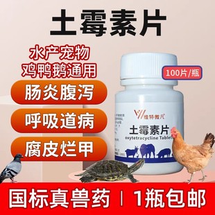 �Fș��ù��Ƭ�u���Z�g�������iţ��؈�B�������ˮ���~ͨ��