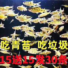 ��15?�l�y�~��15�~�l�~���H�͵͜��Ї����~����С��ˮ�^�p30