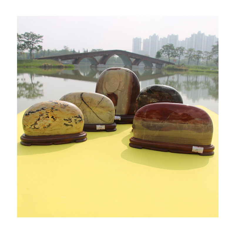 ɽȻʯҾװΣԭֹͥԺڼ