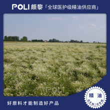 ����ʾվ��� ��Ħ�o�w�η��������l ��Ȼ�{ĸ����޹����ԭ��