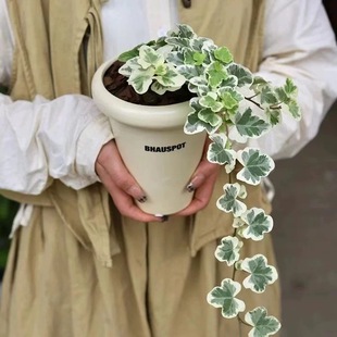 �ձ�ѩ�������ِ����~���\���Wins�L�҃��̨����С���ԾGֲ���B