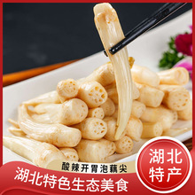 批发泡藕尖湖北特产笔簪头预制菜泡菜凉菜咸菜即食洪湖酸辣泡藕尖