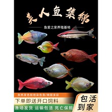늹������~��������ʯ�����{����늹���Ꭷ�^�p�~�J�ןᎧ�~���w