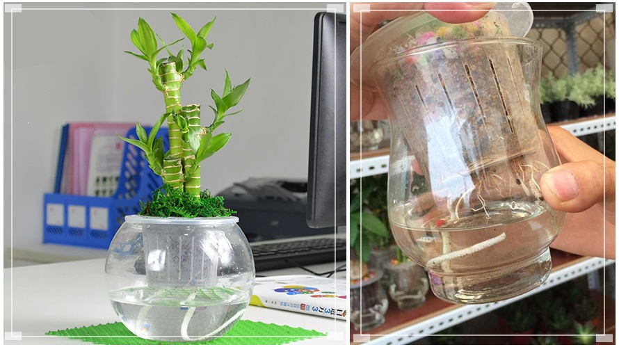 厂家现货 定植篮D园艺绿植固根器土水培大全尺寸款式规格齐全批
