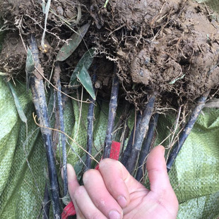 �������l������ ������� ����ͥԺ�G������������ �^�p���Ә���