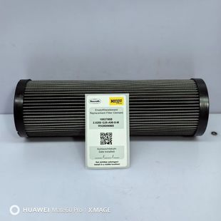 1002785B R928006860 2.0250 G25-A00-0-M #   Hengst Hydraulic Filter Element, Full