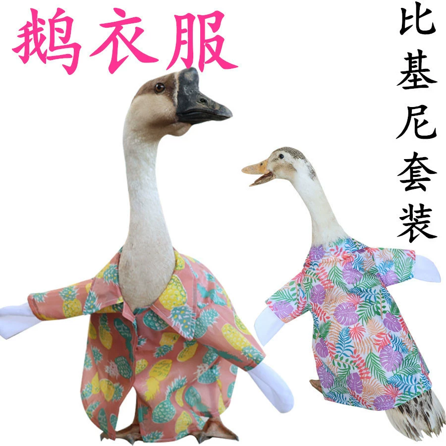 Комплект бикини "Утка Кол" Одежда для уток Одежда для гусей Рубашка для гусей Новый гавайский комплект бикини 2025
