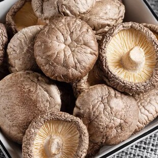 �cԪ�r���㹽��؛����С�㹽Ģ��������������500��