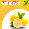 Fruity Rich Anyue Yellow Lemon fresh fruit Can wholesale Season Yellow Lemon Tasty Orchard Source of goods