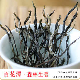 批发百花潭生茶2023头春百花箐森林普洱茶易武百花潭纯料散茶