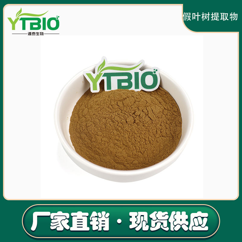 假叶树提取物 10:1 30:1 水溶性假叶树粉 现货包邮