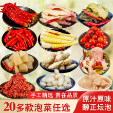 四川泡菜泡椒泡姜组合重庆泡辣椒川菜嫩姜灯笼椒酸萝卜商用鱼