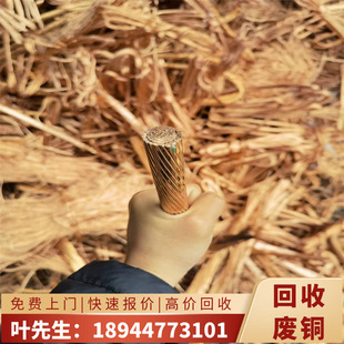 ��ɽģ���~����  �U늾��~�߃r����  ���S�t�~�U��߅���ϴ���̎��