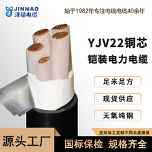 定制YJV22国标电缆线铜芯带铠装电力电缆阻燃2345芯天津小猫厂家