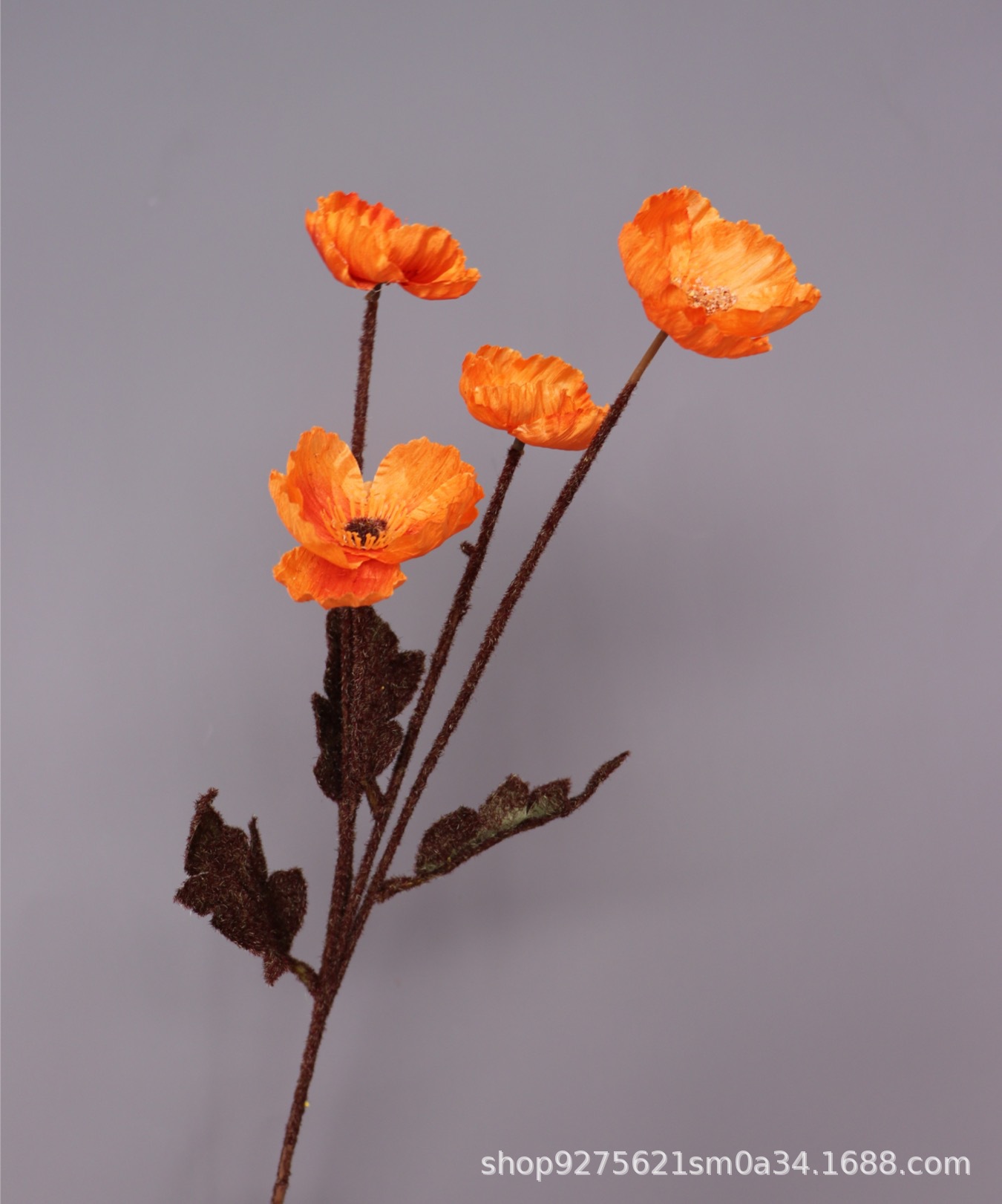 微信图片_20211003173558