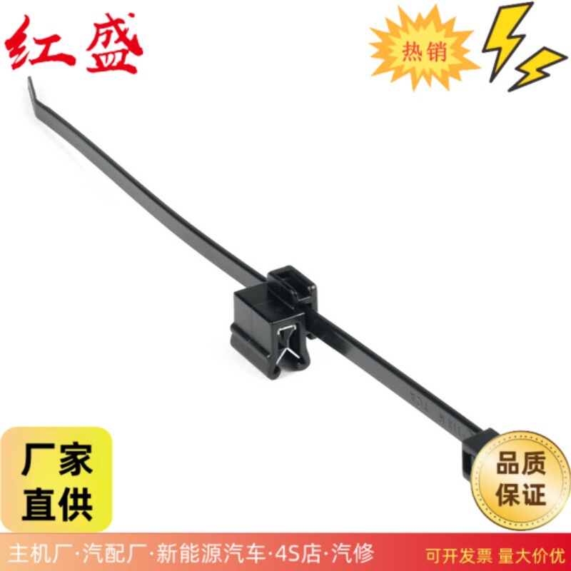 156-00529 Fixed Cable Tie Suitable for Edge Fixation Internal Teeth Cable Tie and Fastening T30Rec