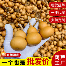 ��Ȼ������J�ְѼ����펧���^��Ƥ�@ָ��С���J�k���Ҕ[�����l