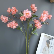 ������N��ӳɽ�tɽʯ����؛Դ���W�ҾӘӰ��g�Ƶ��c�zӰ����