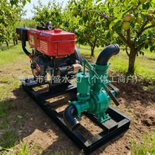 @3牺xıöp~݆߉ò͙C