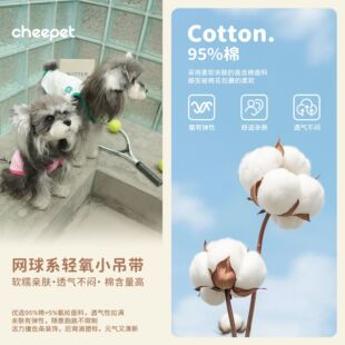 ����W���L���������ļ������؈���p��͸��T����С��Ȯ���