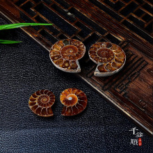 ��Ȼ�߲��ݻ�ʯ�ݾ�ʯ���ݹ����ﻯʯ�V��˱�ԭʯؐ��С�������