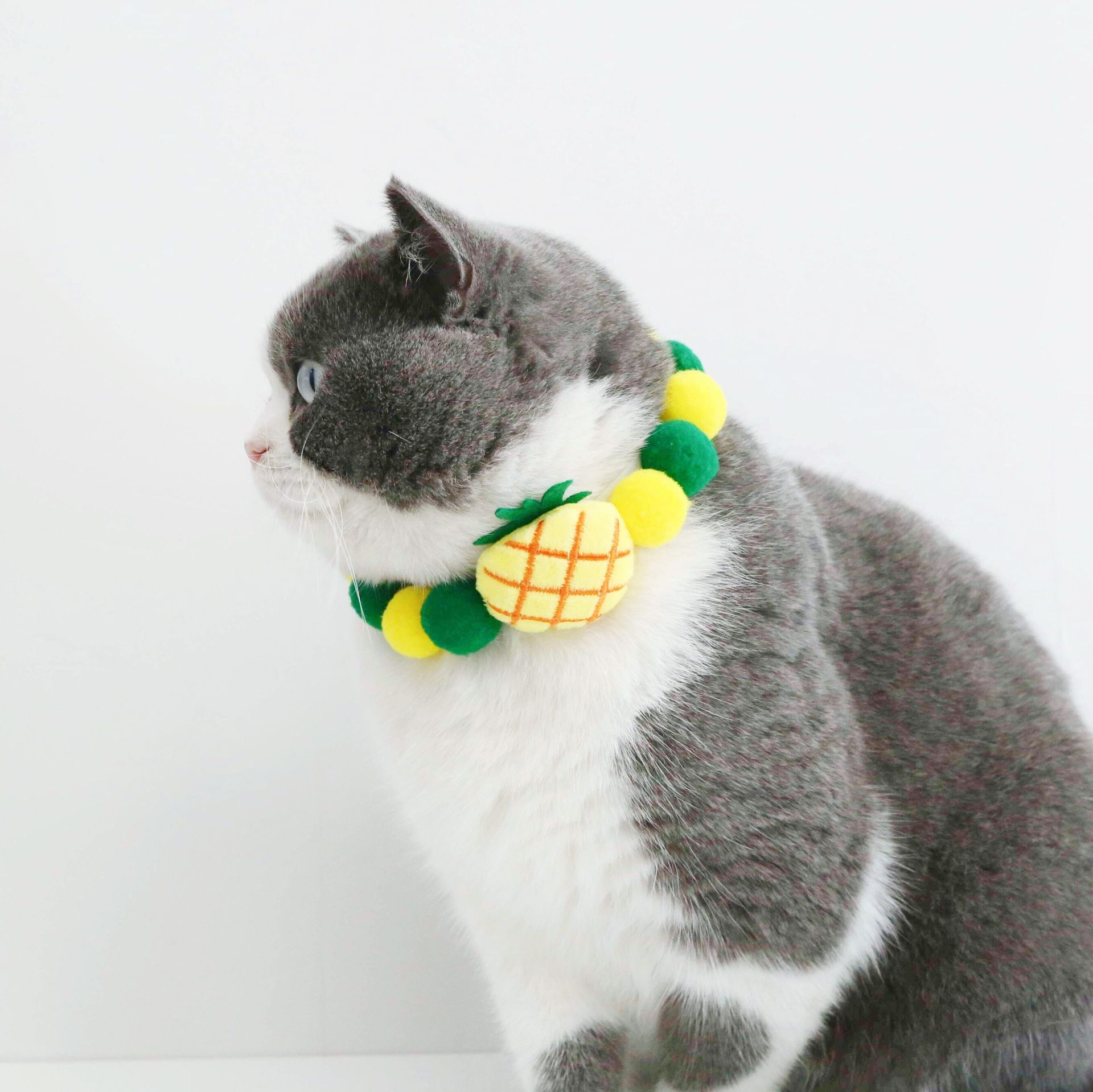 Mascotas gatos perros dibujos animados peluche frutas coloridas bola collar sandía fresa acessorios lindos buckle