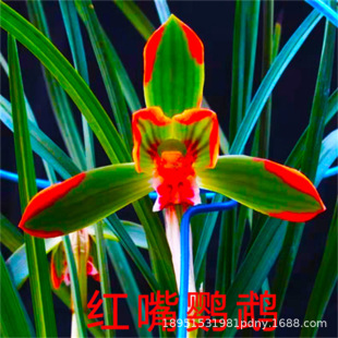 �m���紺�m�t���W�^�����ͻ����k���҃ȾGֲ�������_�����B��