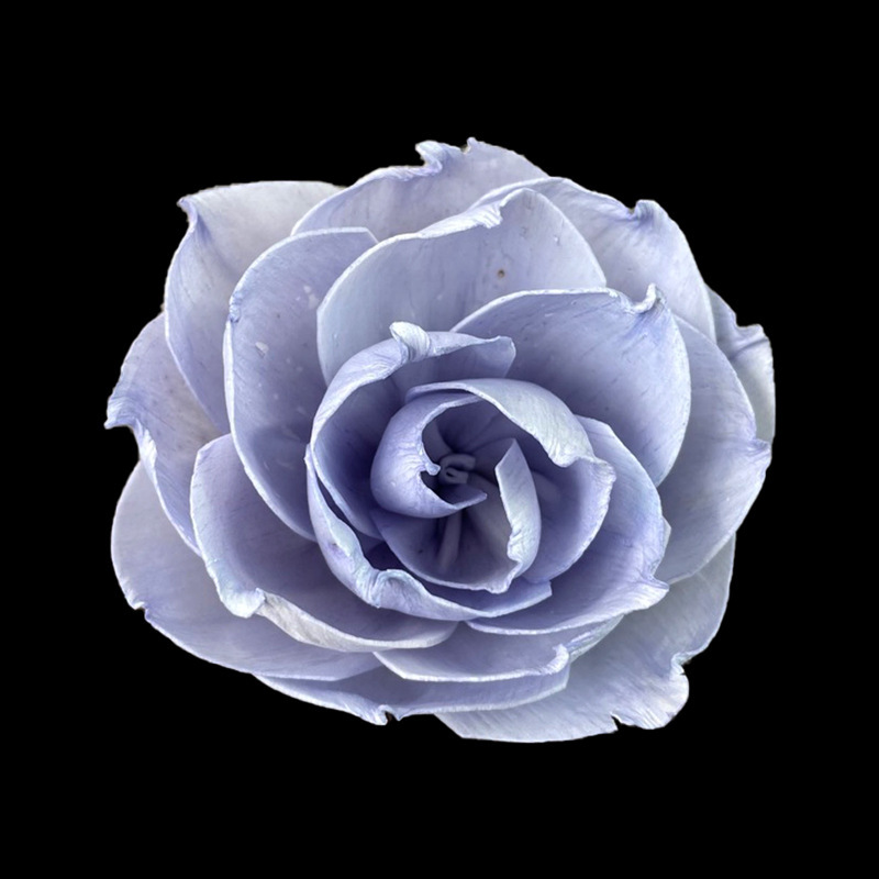 Aromatherapy, blue fresh diffuser contains rose