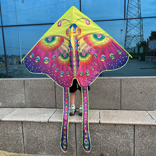 Weifang Kite New Butterfly Kite Street Stall Hot Selling Manufacturer Wholesale Breeze Easy to Fly Eagle Goldfish Kite